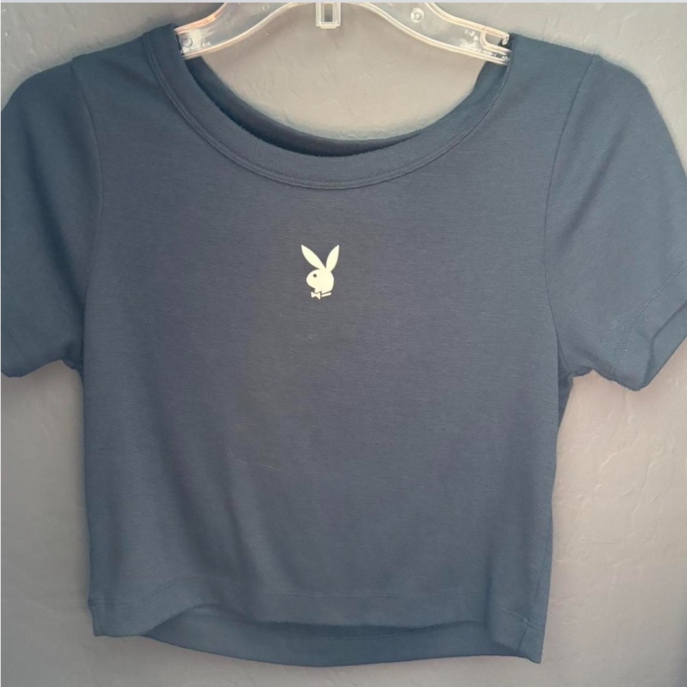 Pacsun playboy crop top